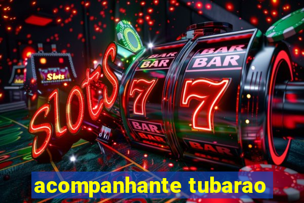 acompanhante tubarao